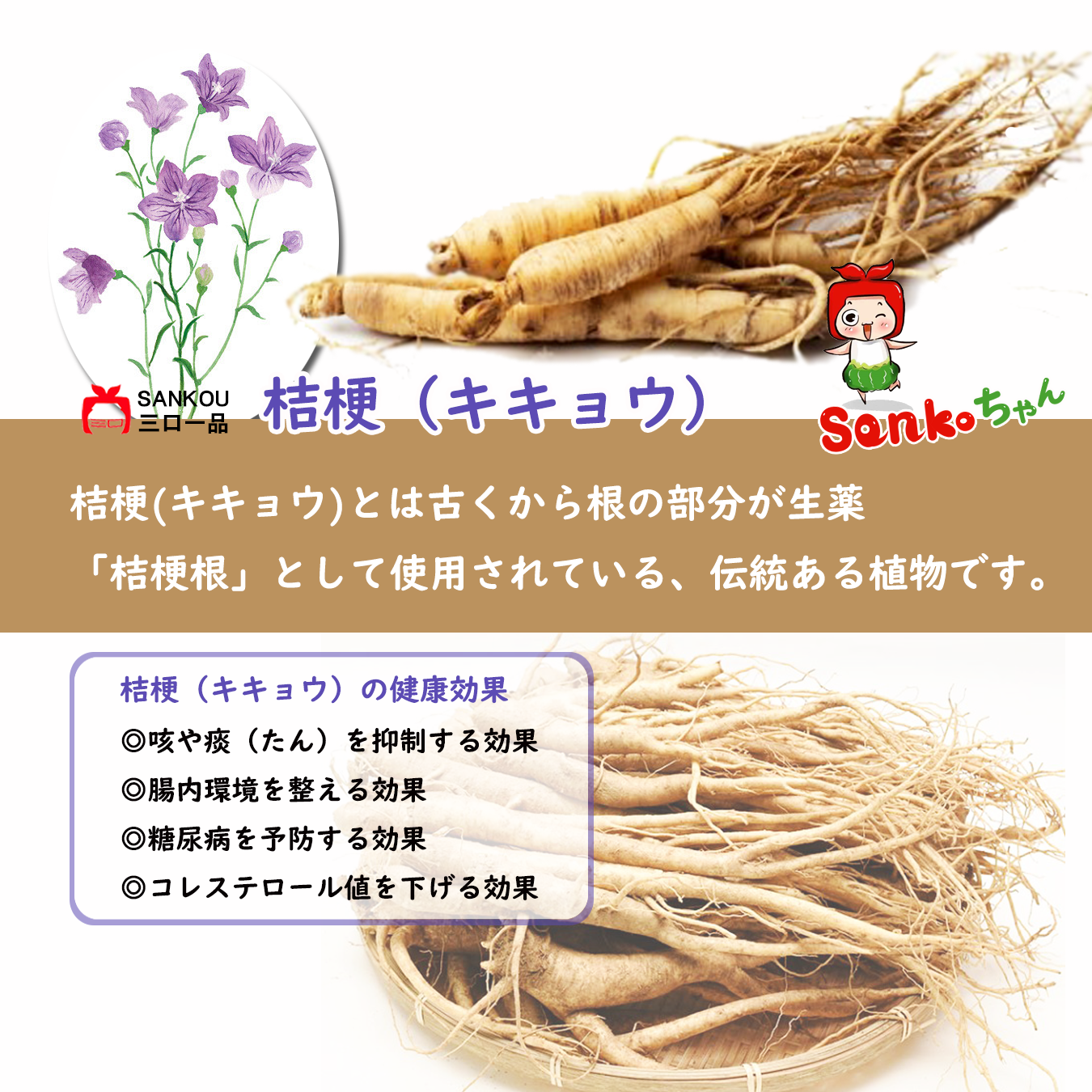 お中元 \ キムチ チャンジャset / 人気 ギフト 贈り物 食べ物 花以外 本格漬け 無添加 発酵 薬膳食材 手作り 本場 美味しい 漬物 伝統 乳酸菌 ネギキムチ カクテキ キキョウキムチ 【三口一品SANKOU公式】【クール便】