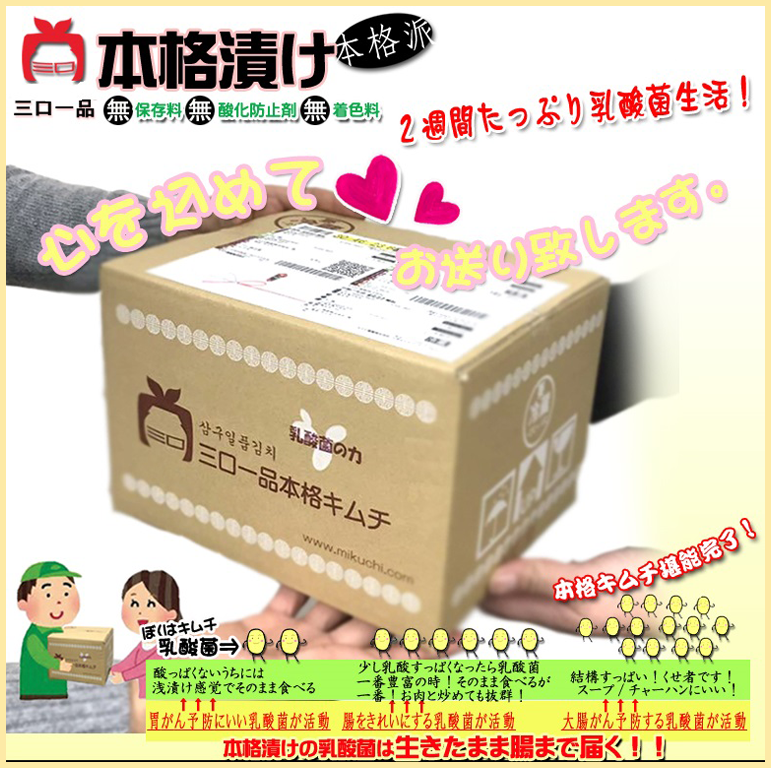 本格漬け \ カラシナキムチ415g 1袋 2袋 3袋 / 青野菜のうまみ キムチ お中元 ギフト 食べ物 無添加 発酵 薬膳食材 手作り 本格 美味しい 漬物 お手頃価格 伝統 食品 熟成 乳酸菌 ヘルシー 【三口一品SANKOU公式】【クール便】