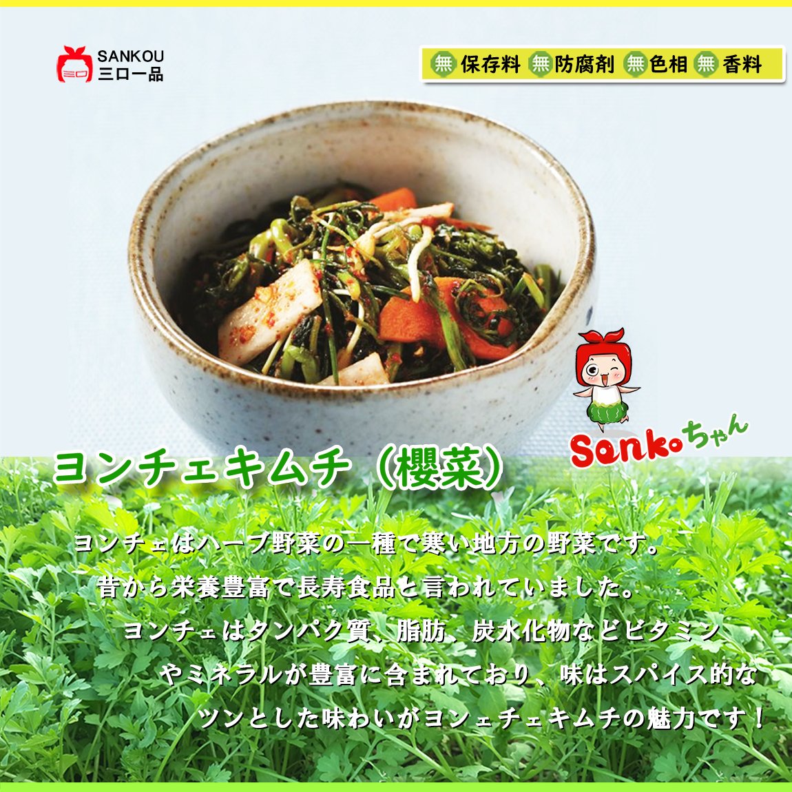 本格漬け ＼ ヨンチェ キムチ415g 1袋 2袋 3袋～ ／ 寒い地方のハーブ系野菜 お中元 ギフト 食べ物 花以外 無添加 発酵 薬膳食材  手作り 本格 美味しい 漬物 お手頃価格 伝統 食品 熟成 乳酸菌 ヘルシー  【三口一品SANKOU公式】【クール便】