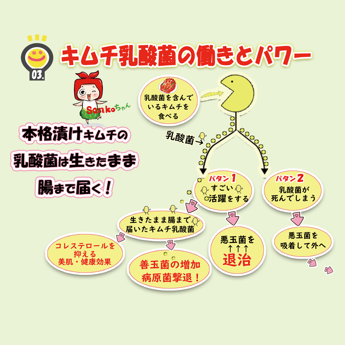 お中元 ＼ キムチ チャンジャset ／ 人気 ギフト 贈り物 食べ物 花以外 本格漬け 無添加 発酵 薬膳食材 手作り 本場 美味しい 漬物 伝統  乳酸菌 ネギキムチ カクテキ キキョウキムチ 【三口一品SANKOU公式】【クール便】